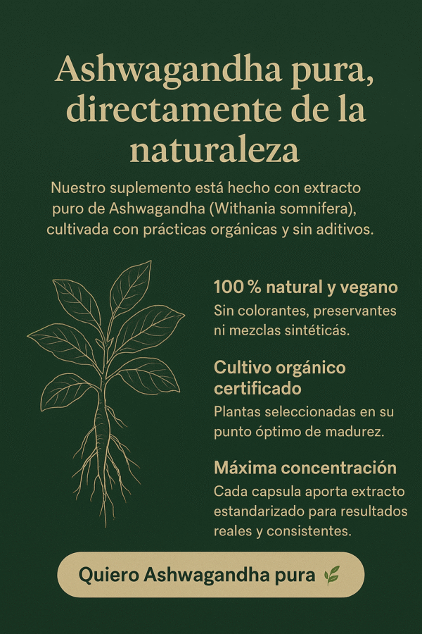 Ashwagandha Pura y Reductor de Estrés - Imagen 5